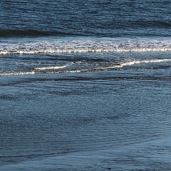 Meet your Posher, Pam - Picture 1 of 1